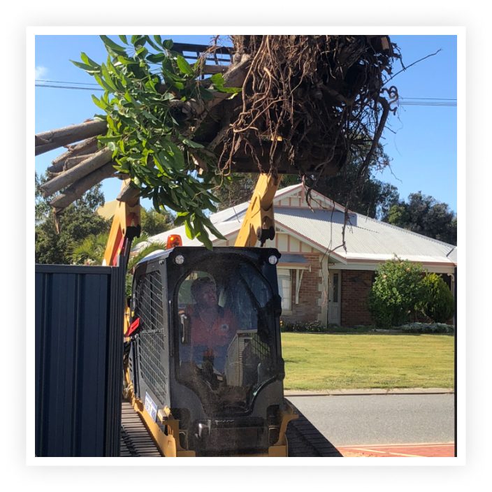 Green Waste Removal with bobcat Perth Southern Suburbs